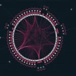 Polkadot2